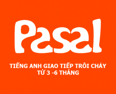 Pasal_English