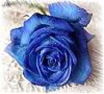 Ich^Liebe^Dich