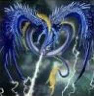 thunder_dragons