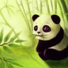 LittlePanda