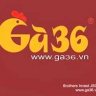 lauga36