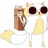 adventureCat