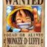 Monkey•D•Luffy