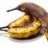 RottenBanana